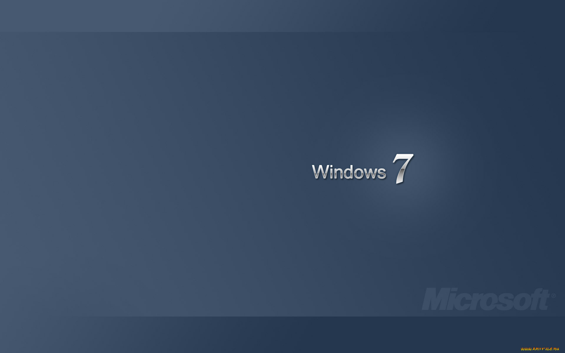 , windows, vienna, , 